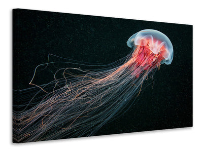 4-piece-canvas-print-longtail