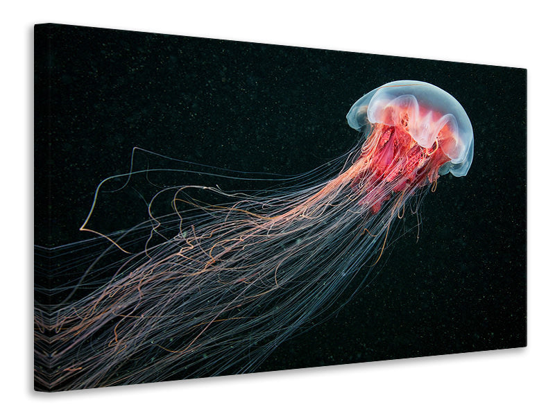 3-piece-canvas-print-longtail