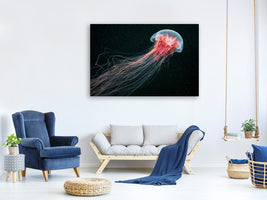 modern-3-piece-canvas-print-longtail
