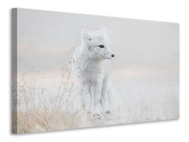 3-piece-canvas-print-looking-around