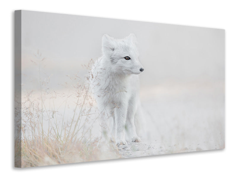 3-piece-canvas-print-looking-around