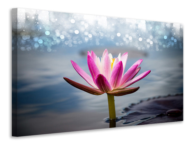 4-piece-canvas-print-lotus-in-the-morning-dew