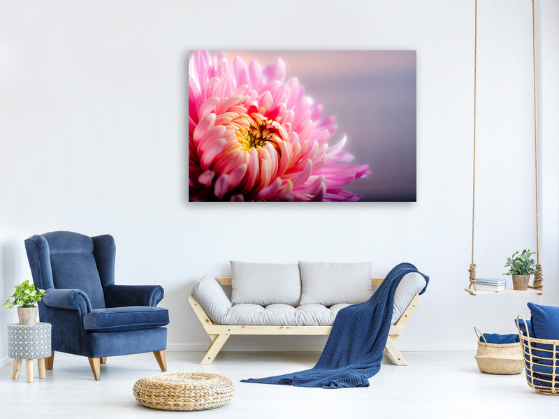 panoramic-3-piece-canvas-print-macro-chrysanthemum