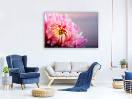 modern-4-piece-canvas-print-macro-chrysanthemum