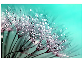 modern-4-piece-canvas-print-macro-dandelion-p
