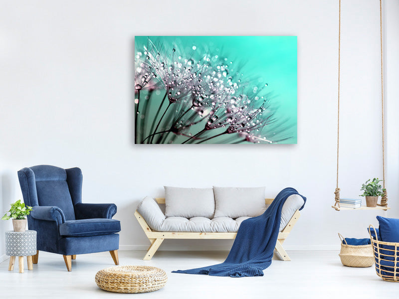 modern-4-piece-canvas-print-macro-dandelion-p