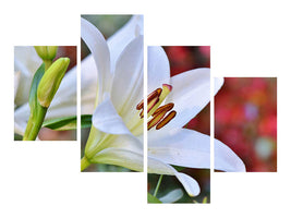 3-piece-canvas-print-magnificent-lily-in-white