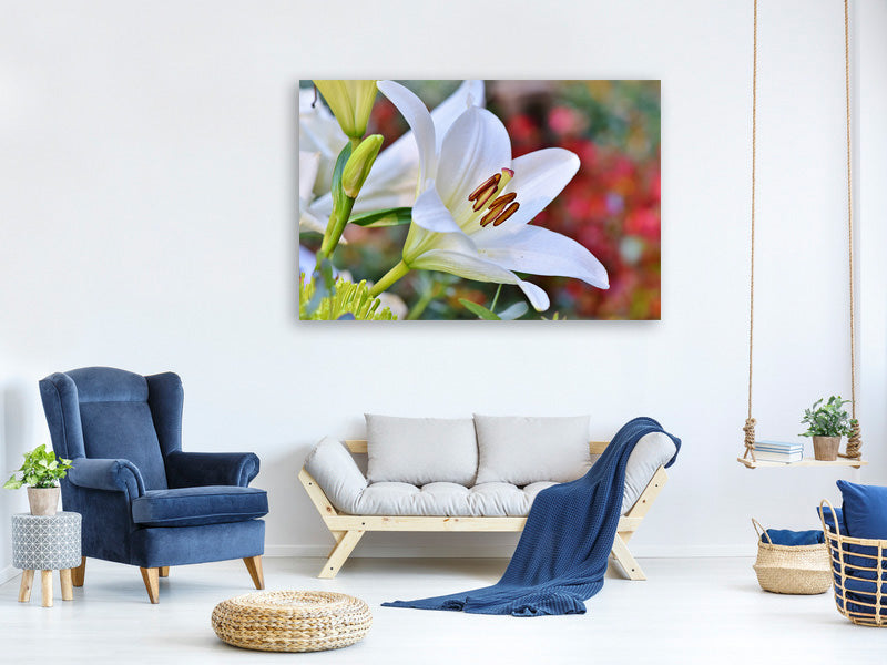 4-piece-canvas-print-magnificent-lily-in-white