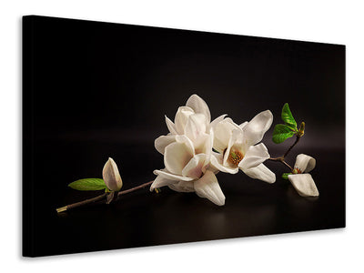 5-piece-canvas-print-magnolia