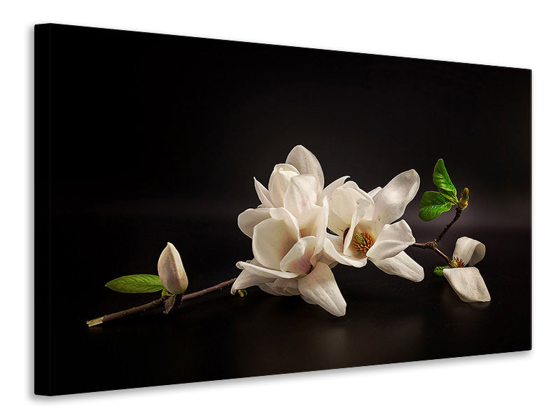 3-piece-canvas-print-magnolia