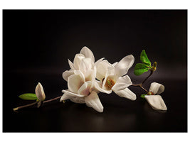 3-piece-canvas-print-magnolia