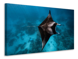 modern-3-piece-canvas-print-manta-fly