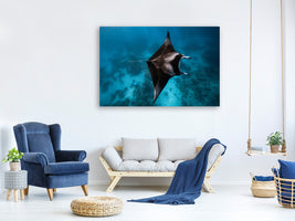modern-3-piece-canvas-print-manta-fly