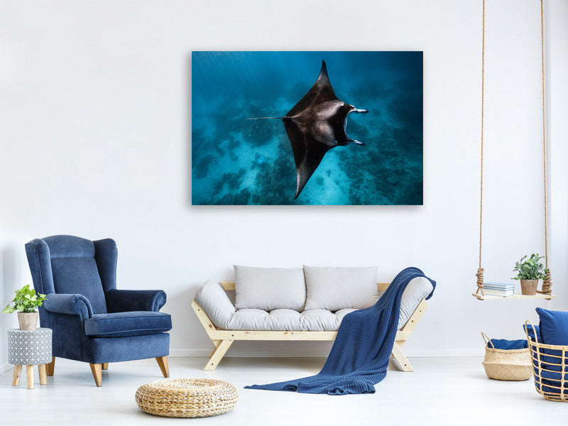 modern-3-piece-canvas-print-manta-fly