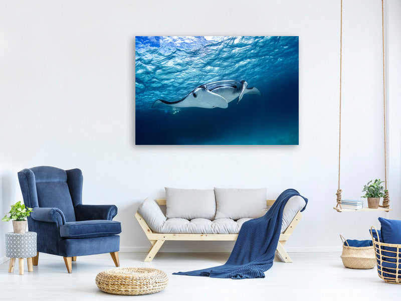 3-piece-canvas-print-manta-ray