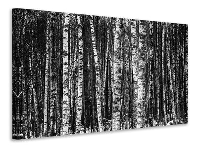 panoramic-3-piece-canvas-print-many-birches-xl