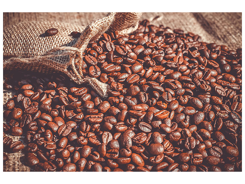 panoramic-canvas-print-many-coffee-beans