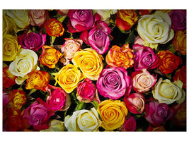 modern-3-piece-canvas-print-many-colorful-rose-petals