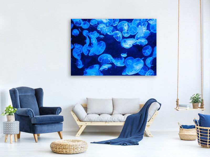 3-piece-canvas-print-many-jellyfish-in-the-blue-water