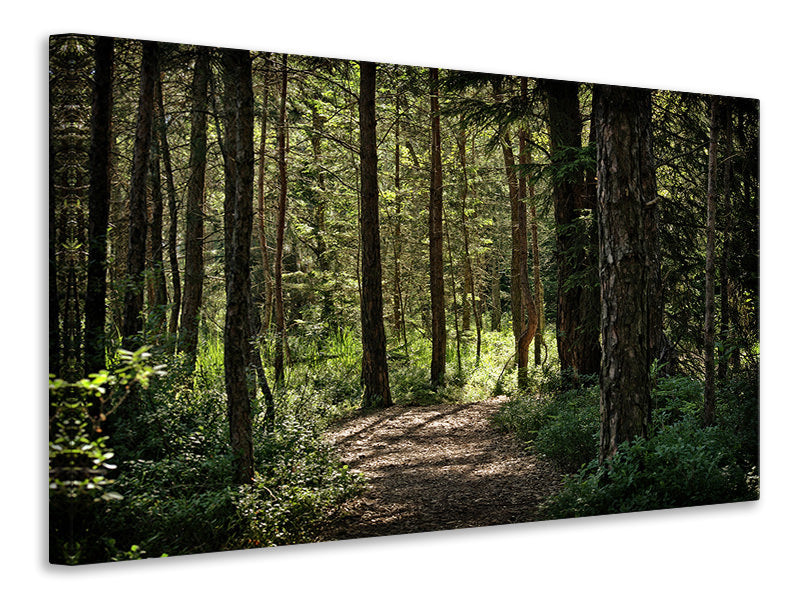 3-piece-canvas-print-many-trees