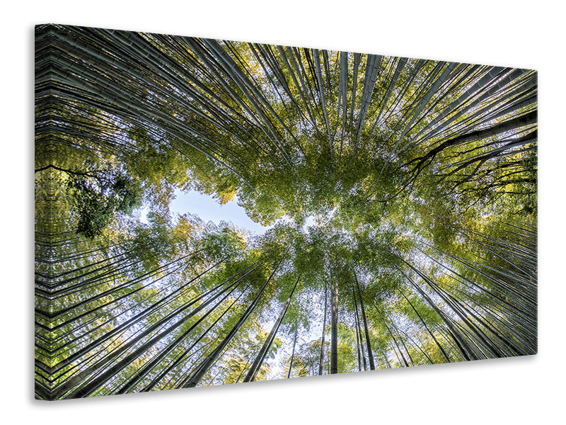 3-piece-canvas-print-many-treetops