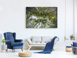 3-piece-canvas-print-many-treetops