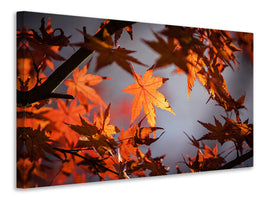 modern-3-piece-canvas-print-maple-leaves-in-autumn