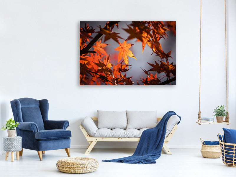 5-piece-canvas-print-maple-leaves-in-autumn