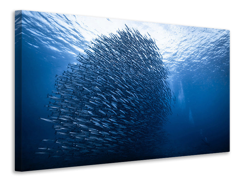 4-piece-canvas-print-mass-giant