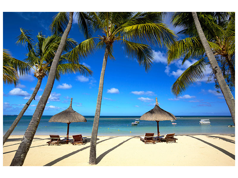 5-piece-canvas-print-mauritius