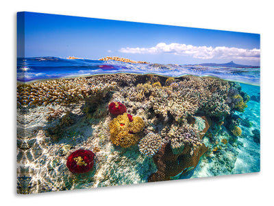 modern-4-piece-canvas-print-mayotte-the-reef
