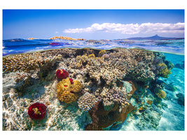 modern-3-piece-canvas-print-mayotte-the-reef