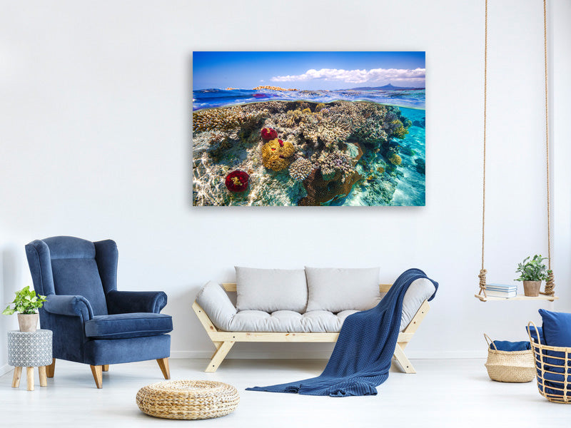 modern-4-piece-canvas-print-mayotte-the-reef