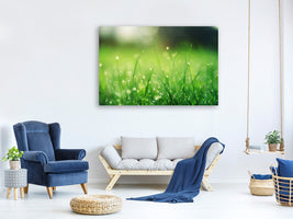 5-piece-canvas-print-meadow-with-morning-dew