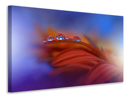 modern-3-piece-canvas-print-metamorphosis