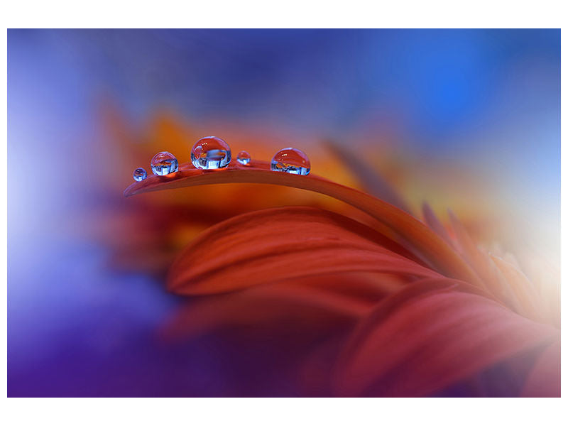 panoramic-3-piece-canvas-print-metamorphosis