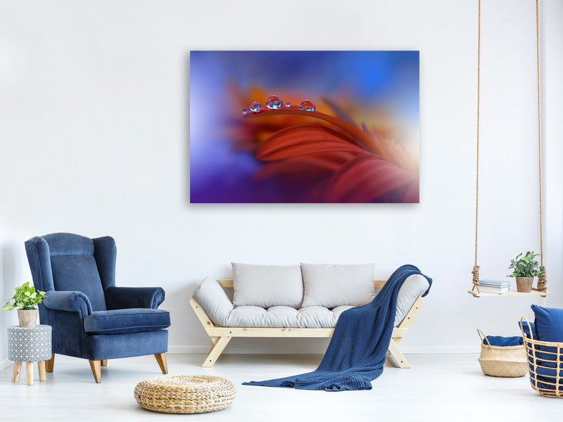 5-piece-canvas-print-metamorphosis