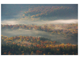 modern-3-piece-canvas-print-misty-morning-ii-a