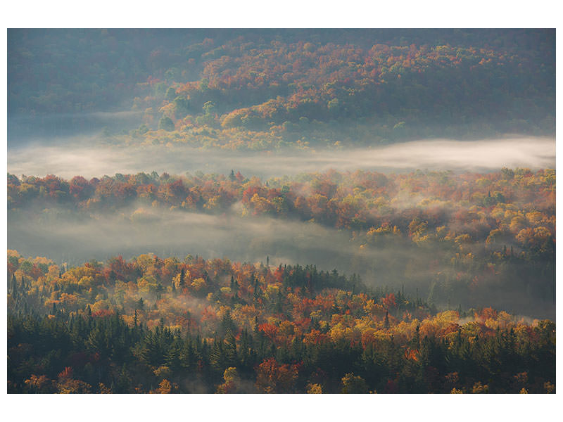 3-piece-canvas-print-misty-morning-ii-a