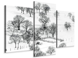 modern-3-piece-canvas-print-bashang-winter