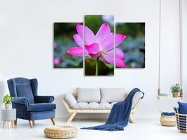 modern-3-piece-canvas-print-beautiful-lotus