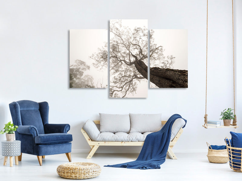 modern-3-piece-canvas-print-between-heaven-and-earth