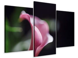 modern-3-piece-canvas-print-calla-in-purple