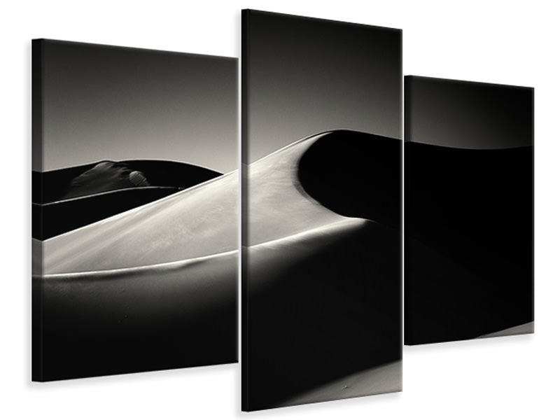 modern-3-piece-canvas-print-dune