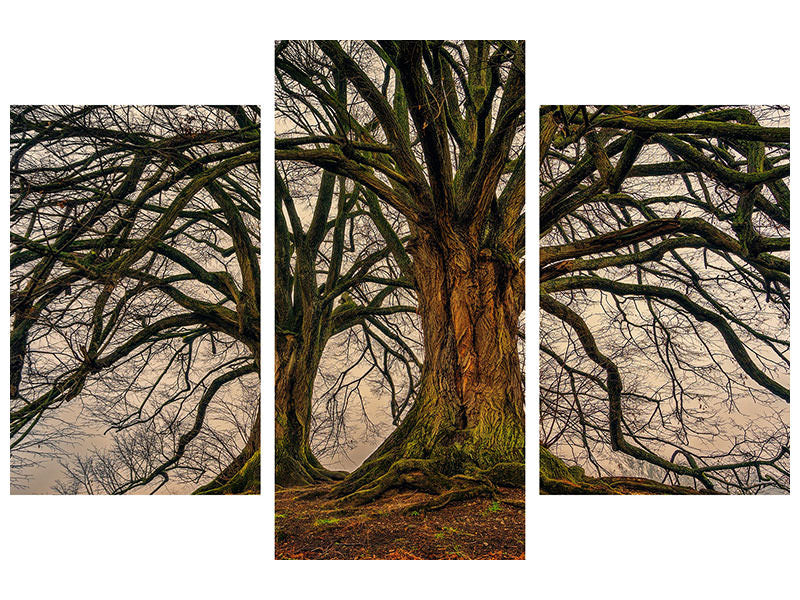 modern-3-piece-canvas-print-ghostly-trees