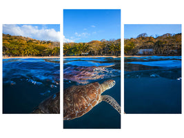 modern-3-piece-canvas-print-green-turtle-sea-turtle