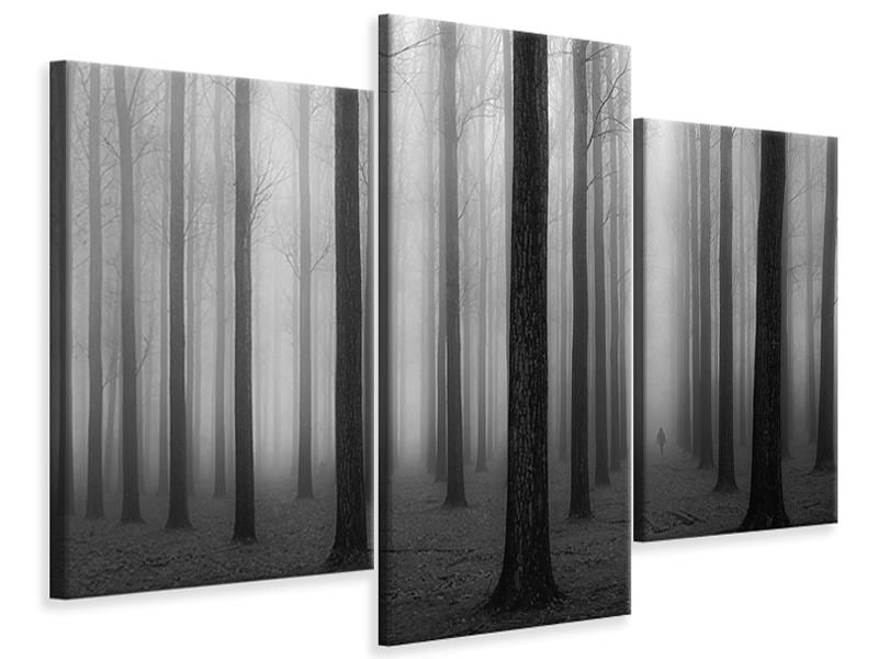 modern-3-piece-canvas-print-in-a-fog