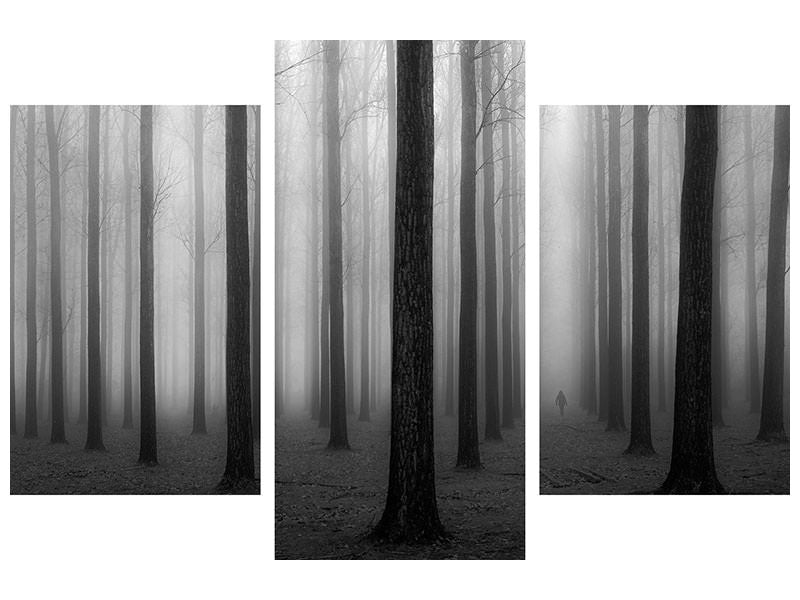 modern-3-piece-canvas-print-in-a-fog