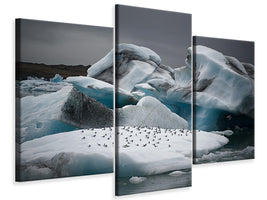 modern-3-piece-canvas-print-in-the-land-of-fire-and-ice