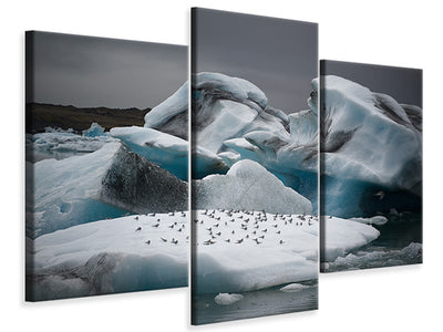 modern-3-piece-canvas-print-in-the-land-of-fire-and-ice